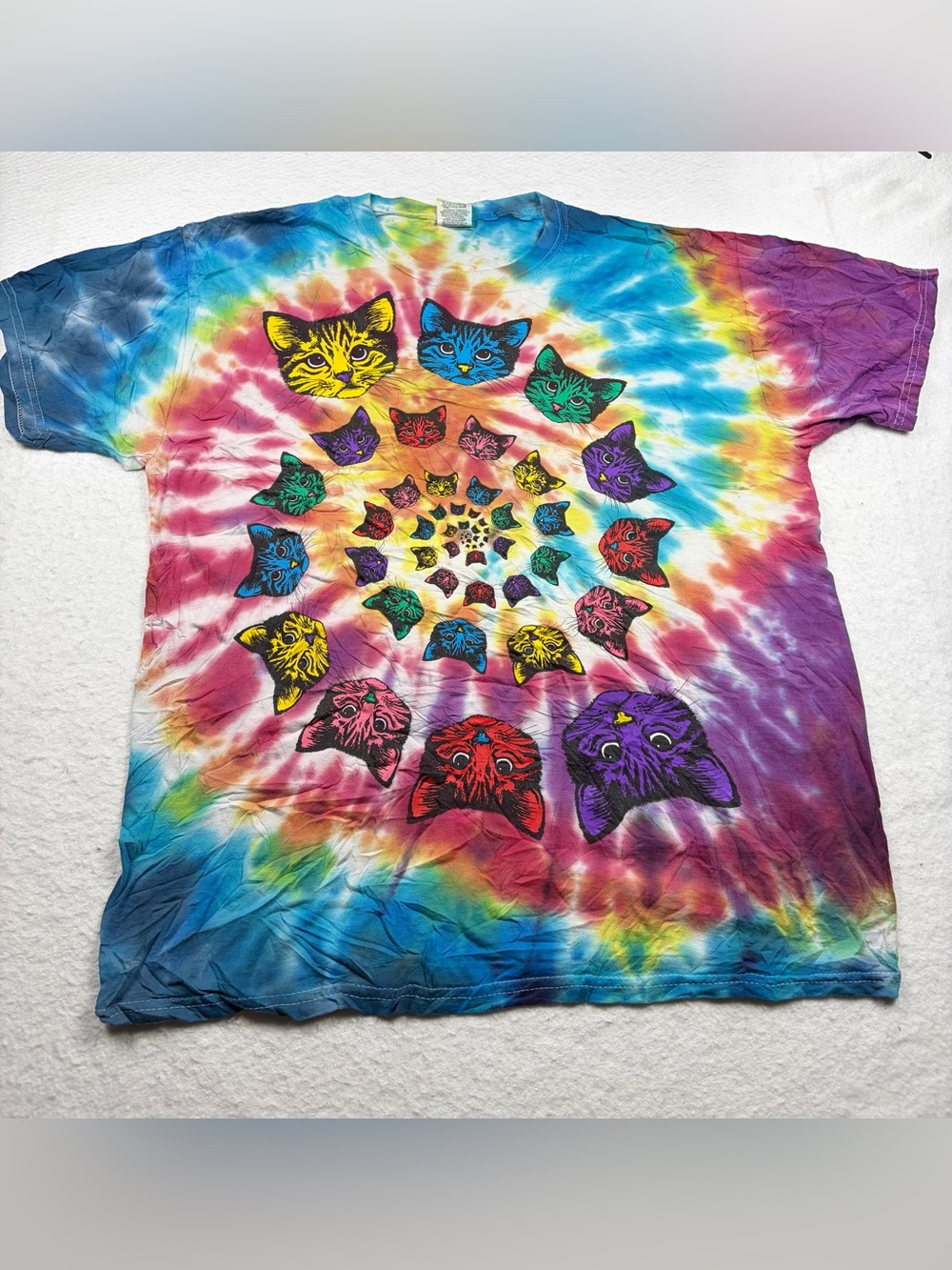 Vintage Fruit of the Loom Tie-Dye Multicolor Cat Spiral Graphic Tee L Y2K